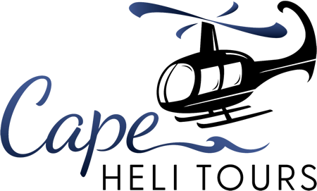 CapeHeliTours_Logo_Color_xSmall